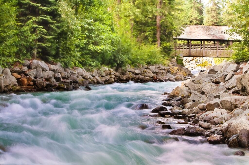 flowing creek, water, stream-1029885.jpg